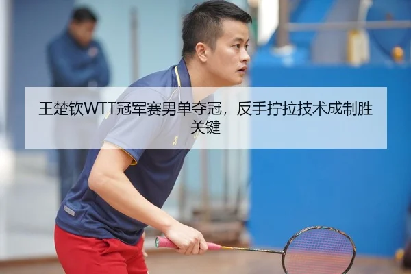 王楚钦WTT冠军赛男单夺冠，反手拧拉技术成制胜关键