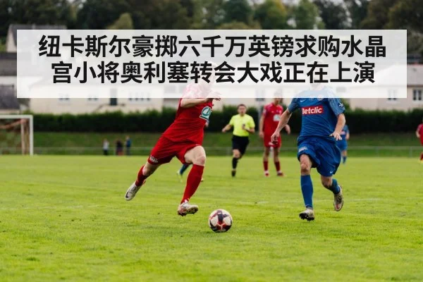 纽卡斯尔豪掷六千万英镑求购水晶宫小将奥利塞转会大戏正在上演